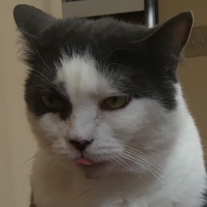 Meet your Posher, Reese